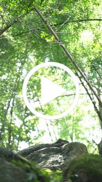 BIB:  <button type="button" onclick="openModal(27921062)" class="btn btn-primary btn-sm float-right" data-toggle="modal" data-target=".modal-high-quality">
                <i class="fa fa-download"></i> Download
                </button>